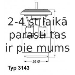 Termostats, Dzesēšanas šķidrums WAHLER 3143.87D