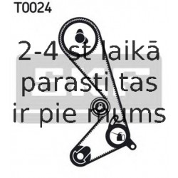 Zobsiksnas komplekts SKF VKMA 06204