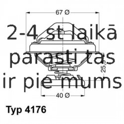 Termostats, Dzesēšanas šķidrums WAHLER 4176.85D