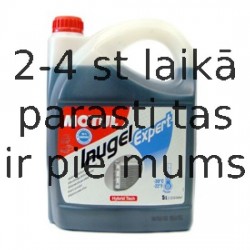 Motul Inugel Expert -37o $ 5L Dzes.šķidr.zaļganzilsNETO