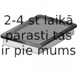 Gaisa filtrs FRAM CA8606