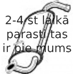 Izplūdes gāzu trokšņa slāpētājs (pēdējais) WALKER 23320