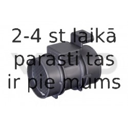 Gaisa masas mērītājs VDO 5WK9633Z