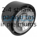 Parazīt-/Vadrullītis, Ķīļrievu siksna DAYCO APV3064