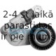 Siksnas spriegotājs, Ķīļsiksna DAYCO APV2276