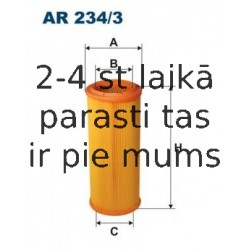 Gaisa filtrs FILTRON AR234/3