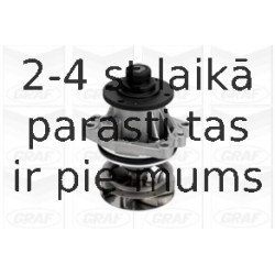 Ūdens sūknis GRAF PA432A